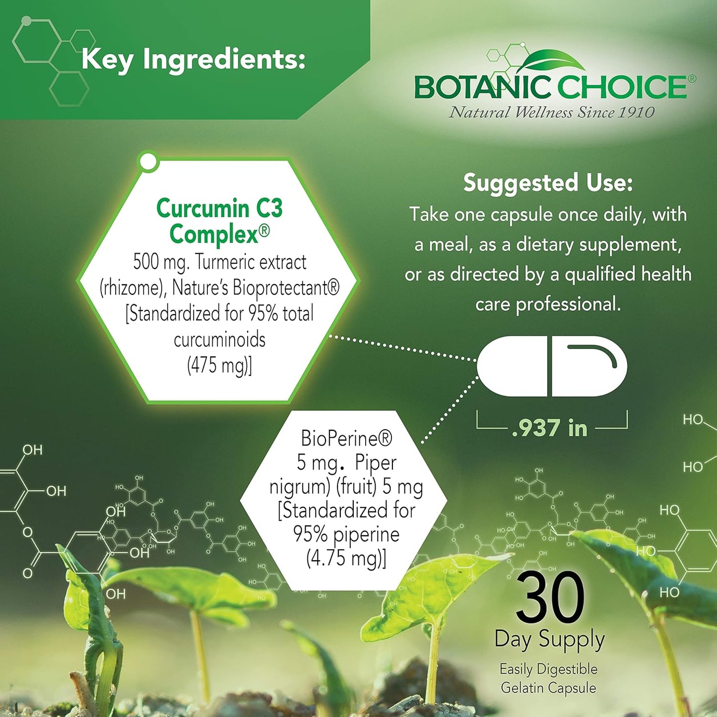 Botanic Choice Curcumin C3 Complex with Bioperine - 30 Daily Supplement Capsules for Adults
