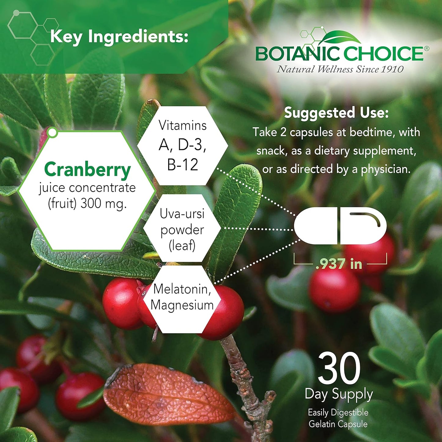 Botanic Choice Pro-Advanced Urinary Formula - Supports Urinary Tract Health - 60 Capsules with Magnesium, Cranberry, Uva Ursi, and Damiana