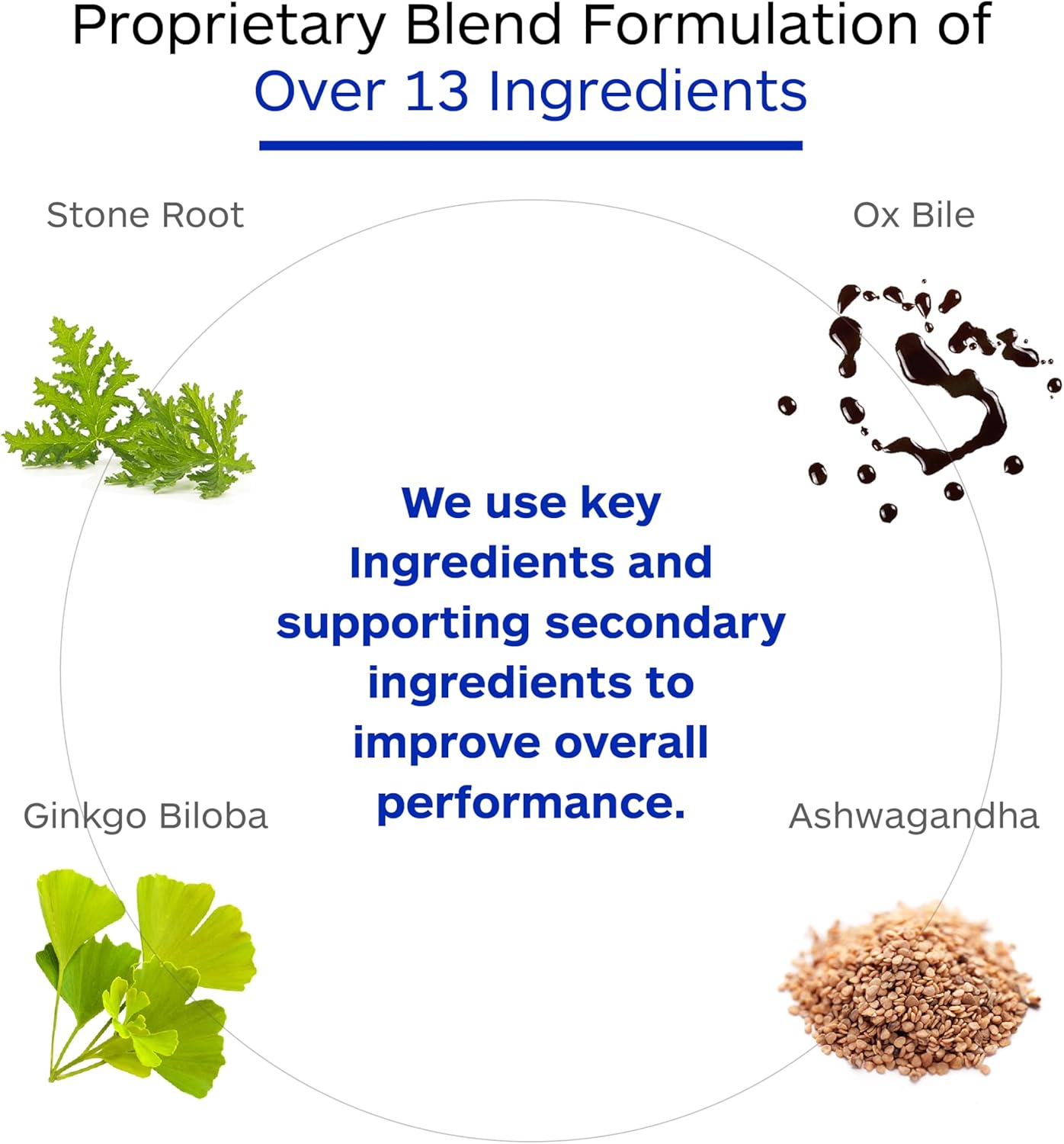 Botanicals Circ-Q: Support Healthy Blood Circulation & Vein Health - 60 Veg Capsules