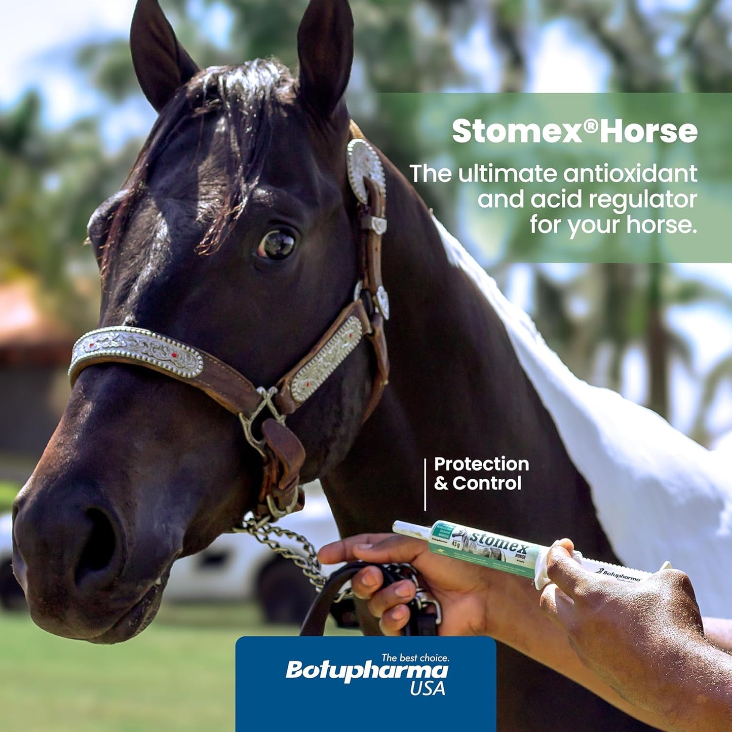 Botupharma USA Stomex Horse Supplement for Digestive Health