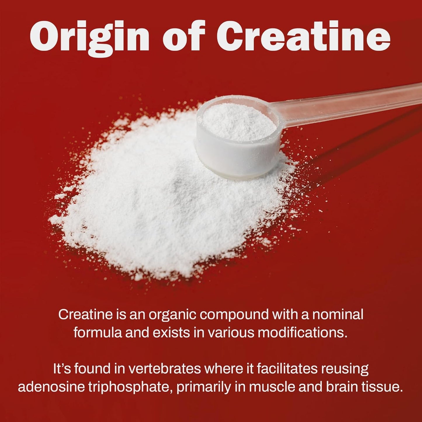 BoxNutra Creatine Monohydrate Powder - Unflavored Muscle Gain Supplement for Men and Women - 200 Servings