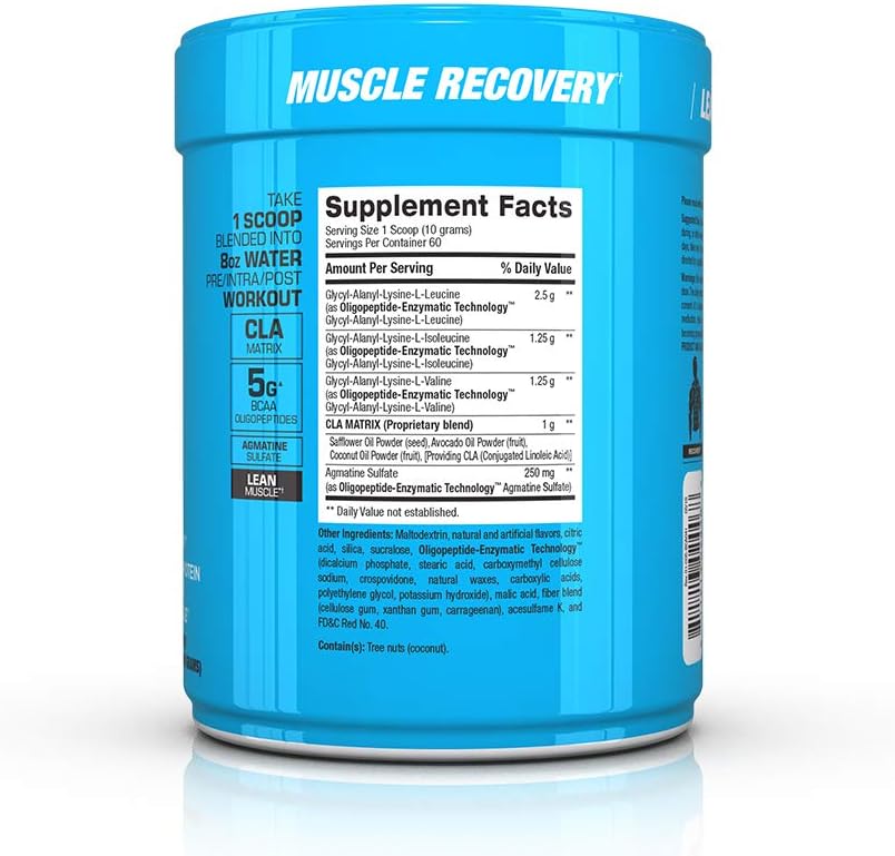 BPI Sports Best BCAA Powder - Fruit Punch Flavor - Muscle Recovery & Hydration - 60 Servings, 1.32 lbs