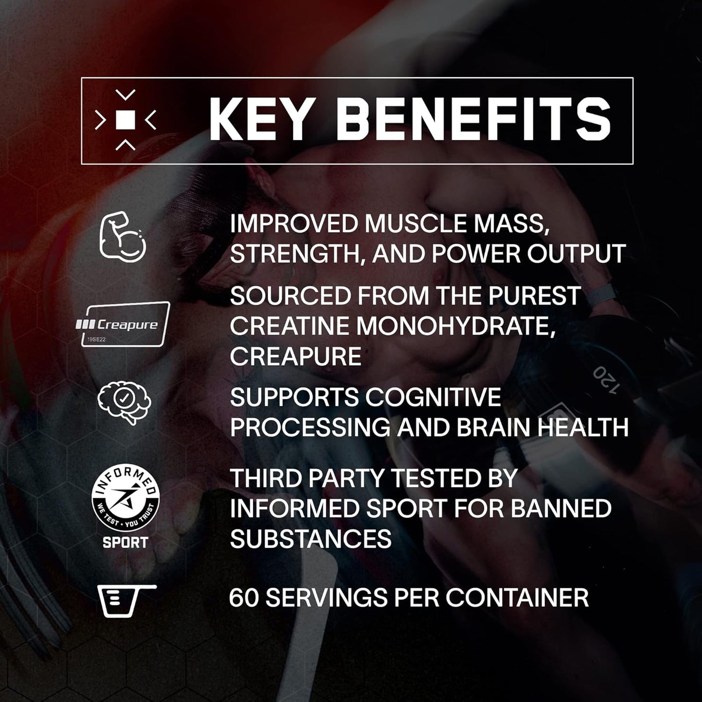 BPN Pure Creatine Monohydrate Powder - 5g per Serving - Muscle Growth Support - Unflavored - 60 Servings