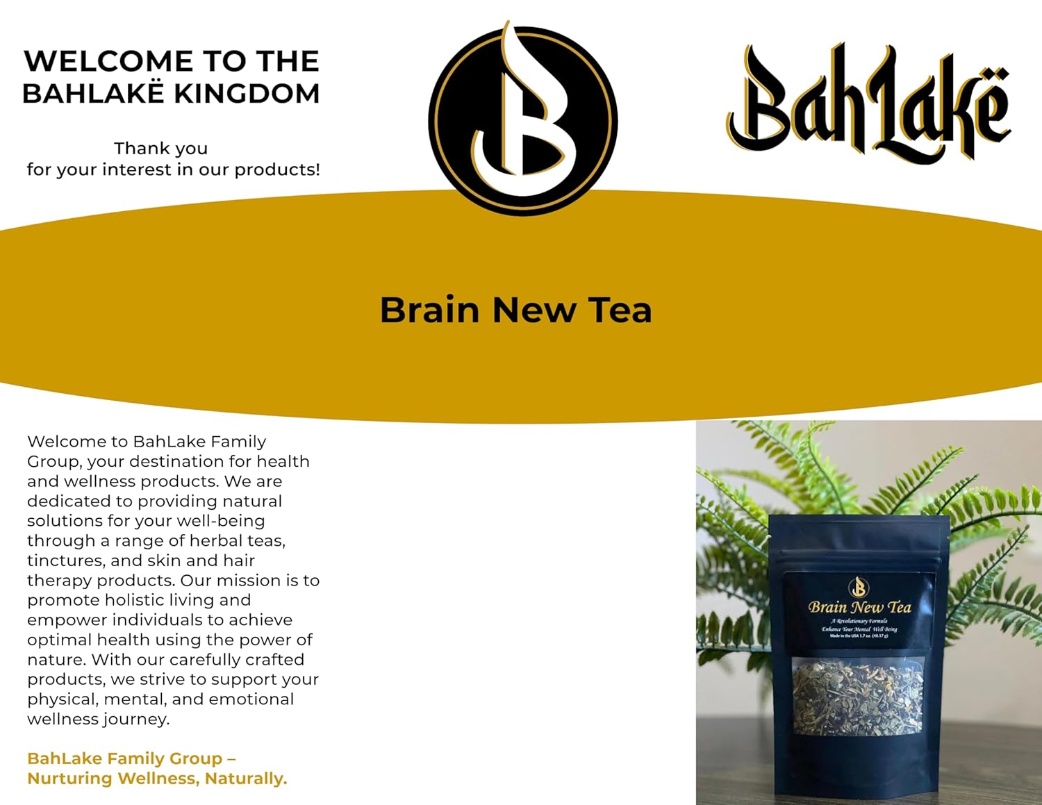 Brain Boost Tea - Memory & Focus Supplements, Nootropic Blend with Bacopa, Yerba Mate, Rhodiola Rosea, Gingko Biloba, Gotu Kola, Reishi - Mental Clarity & Brain Fog Relief