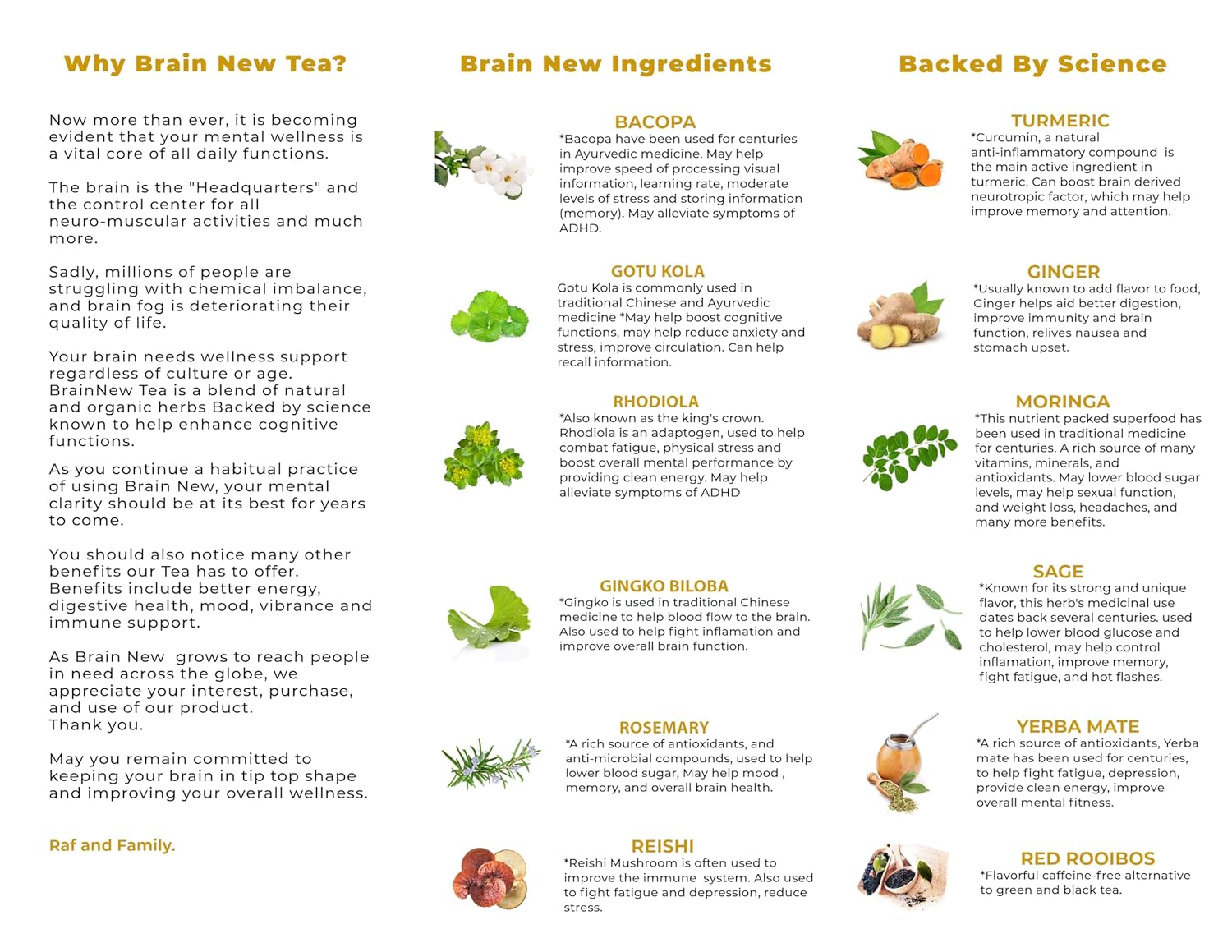 Brain Boost Tea - Memory & Focus Supplements, Nootropic Blend with Bacopa, Yerba Mate, Rhodiola Rosea, Gingko Biloba, Gotu Kola, Reishi - Mental Clarity & Brain Fog Relief