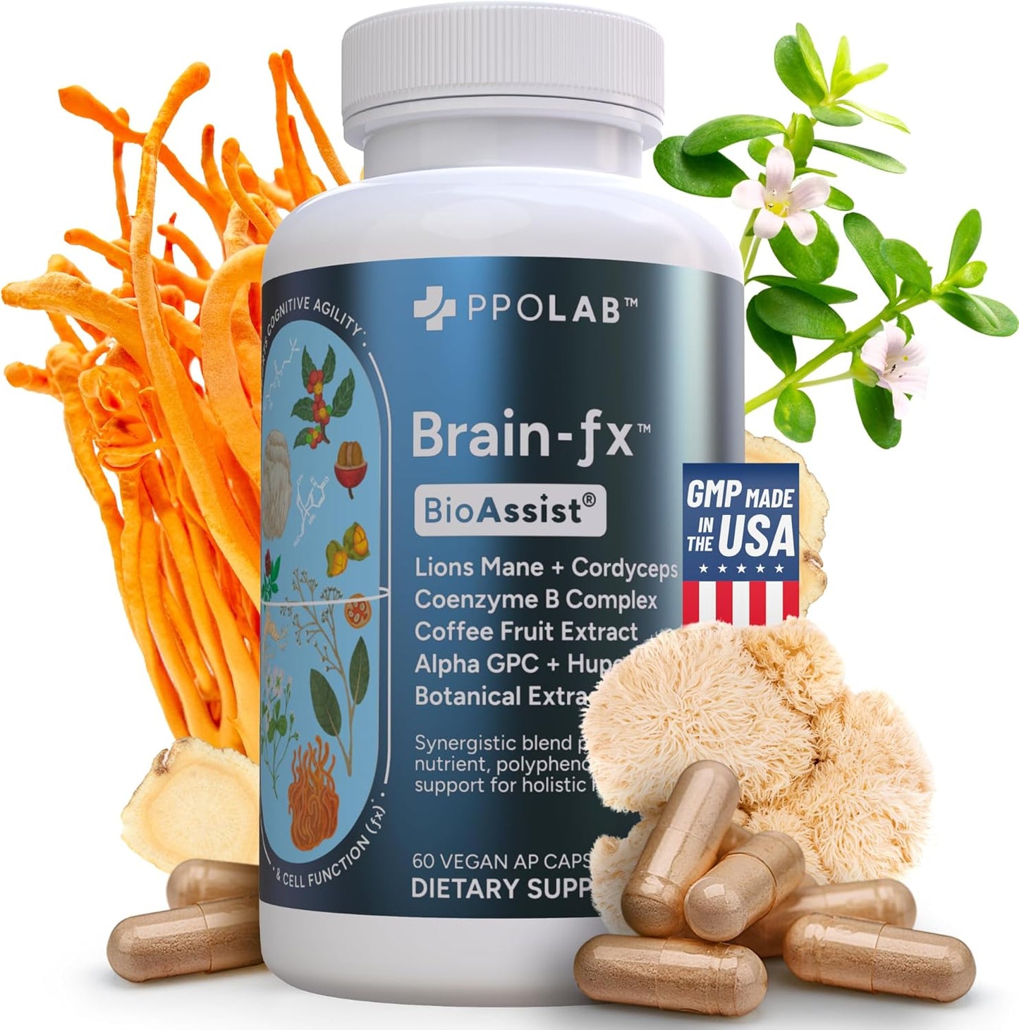 Brain-fx™ Nootropic Supplement for Energy, Focus, Mood, and Memory Support with Methyl B Complex, Coffee Fruit, Lions Mane, and Ginseng - 60 Vegan Capsules