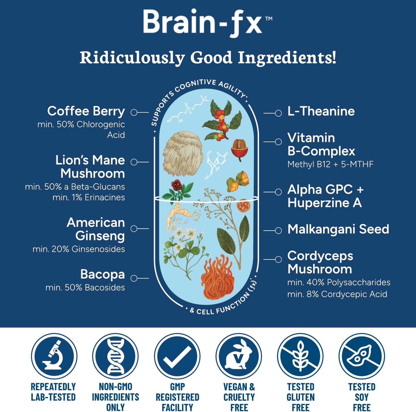 Brain-fx™ Nootropic Supplement for Energy, Focus, Mood, and Memory Support with Methyl B Complex, Coffee Fruit, Lions Mane, and Ginseng - 60 Vegan Capsules