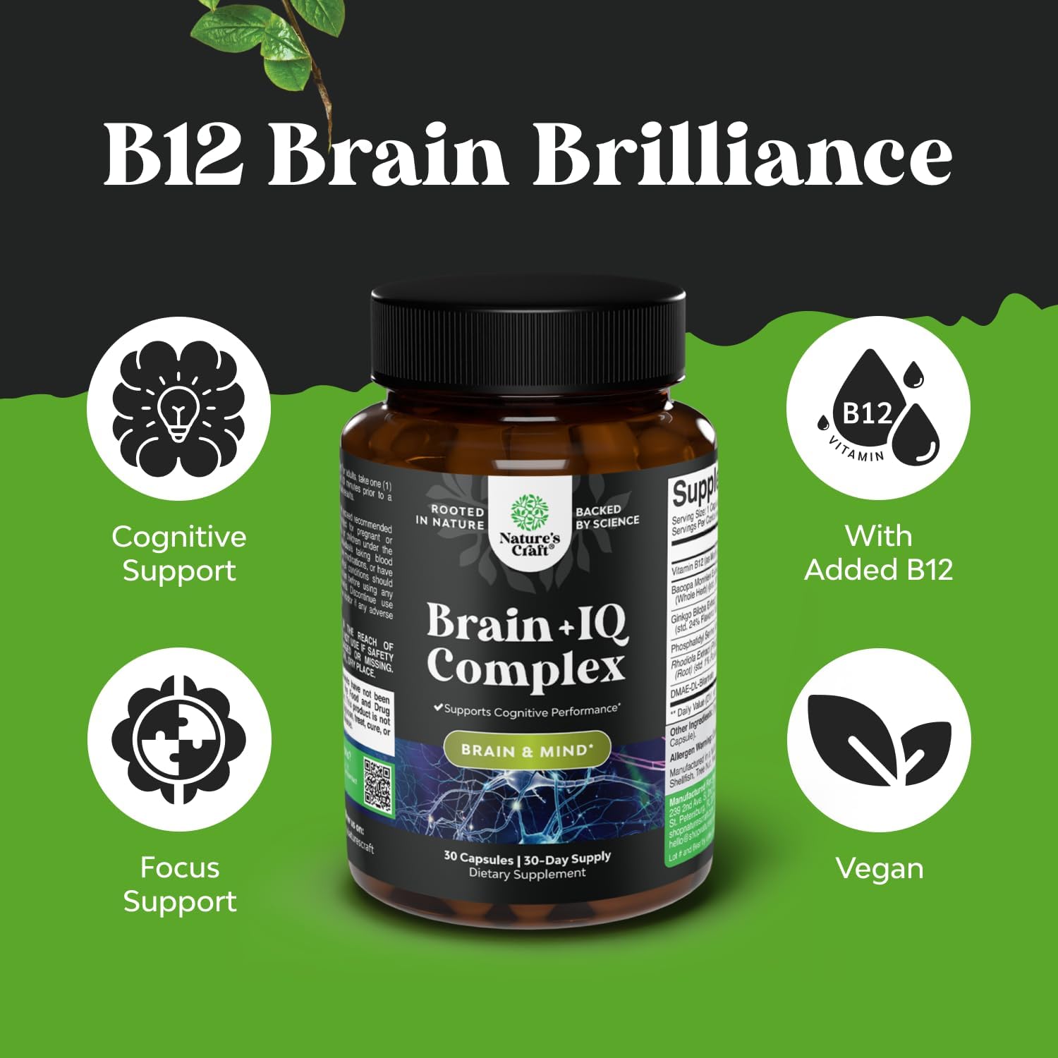 Brain Support Memory Supplement - Boost Energy and Focus with Nootropic Pills - Vitamin B12, Bacopa Monnieri, Rhodiola Rosea, DMAE, Ginkgo Biloba, Phosphatidylserine Supplement for Enhanced Memory
