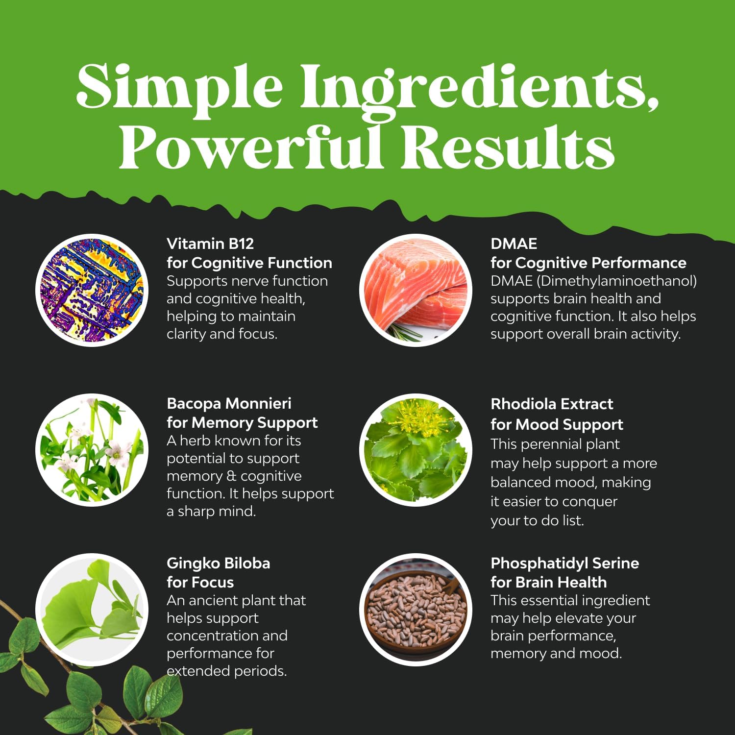 Brain Support Memory Supplement - Boost Energy and Focus with Nootropic Pills - Vitamin B12, Bacopa Monnieri, Rhodiola Rosea, DMAE, Ginkgo Biloba, Phosphatidylserine Supplement for Enhanced Memory