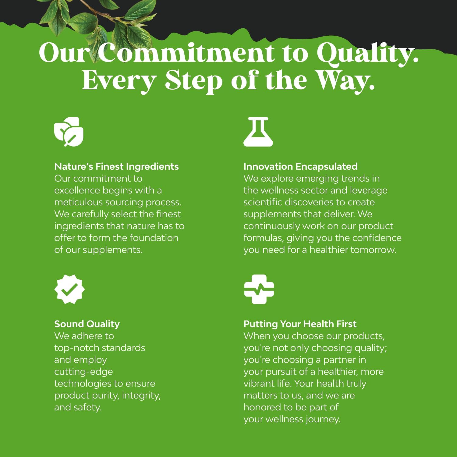 Brain Support Memory Supplement - Boost Energy and Focus with Nootropic Pills - Vitamin B12, Bacopa Monnieri, Rhodiola Rosea, DMAE, Ginkgo Biloba, Phosphatidylserine Supplement for Enhanced Memory