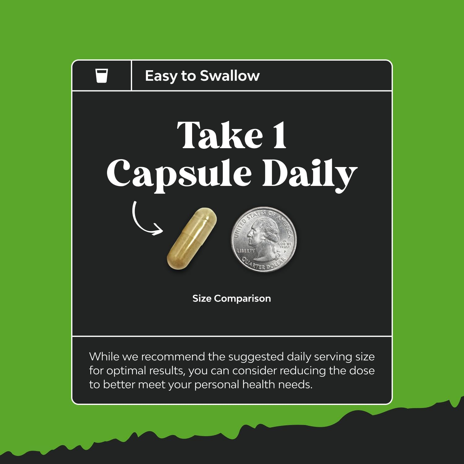 Brain Support Memory Supplement - Boost Energy and Focus with Nootropic Pills - Vitamin B12, Bacopa Monnieri, Rhodiola Rosea, DMAE, Ginkgo Biloba, Phosphatidylserine Supplement for Enhanced Memory