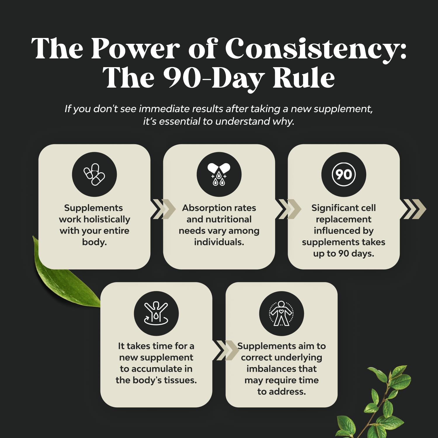 Brain Support Memory Supplement - Boost Energy and Focus with Nootropic Pills - Vitamin B12, Bacopa Monnieri, Rhodiola Rosea, DMAE, Ginkgo Biloba, Phosphatidylserine Supplement for Enhanced Memory