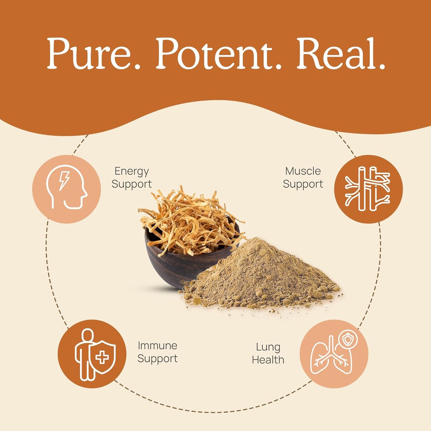 Brain, Vitality, and Immune Support Bundle with Lion’s Mane, Reishi, and Cordyceps - Cognition, Longevity, and Peak Performance Capsules