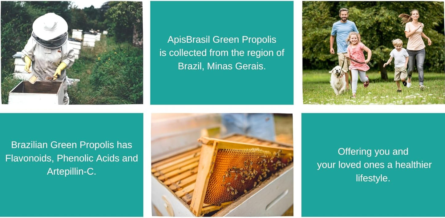 Brazilian Green Bee Propolis Liquid Extract 21% (30ml) - Natural Immune Booster - Antioxidant - Single Pack from ApisBrasil