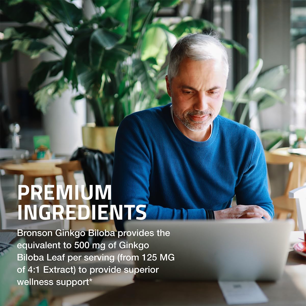 Bronson Ginkgo Biloba Extra Strength Capsules for Brain Function & Memory Support - 120 Vegetarian Capsules