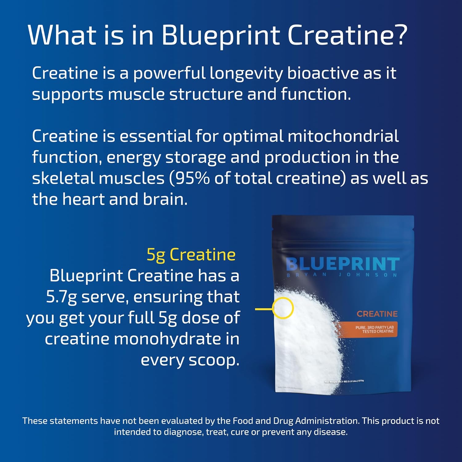 Bryan Johnson's Creatine Blueprint: A Comprehensive Guide