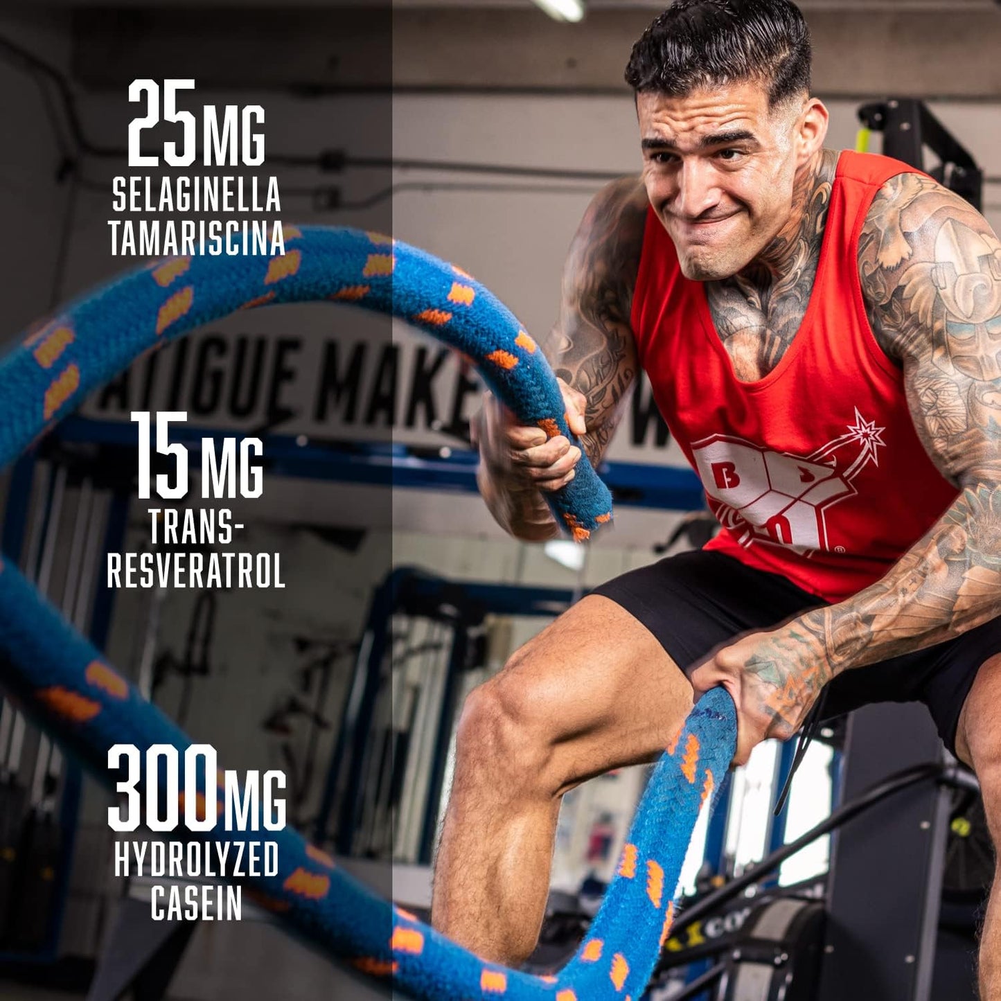 BSN N.O.-XPLODE Vaso Pre Workout Powder - 8g L-Citrulline, 3.2g Beta-Alanine, Energy Boost - Razzle Dazzle Flavor - 48 Servings