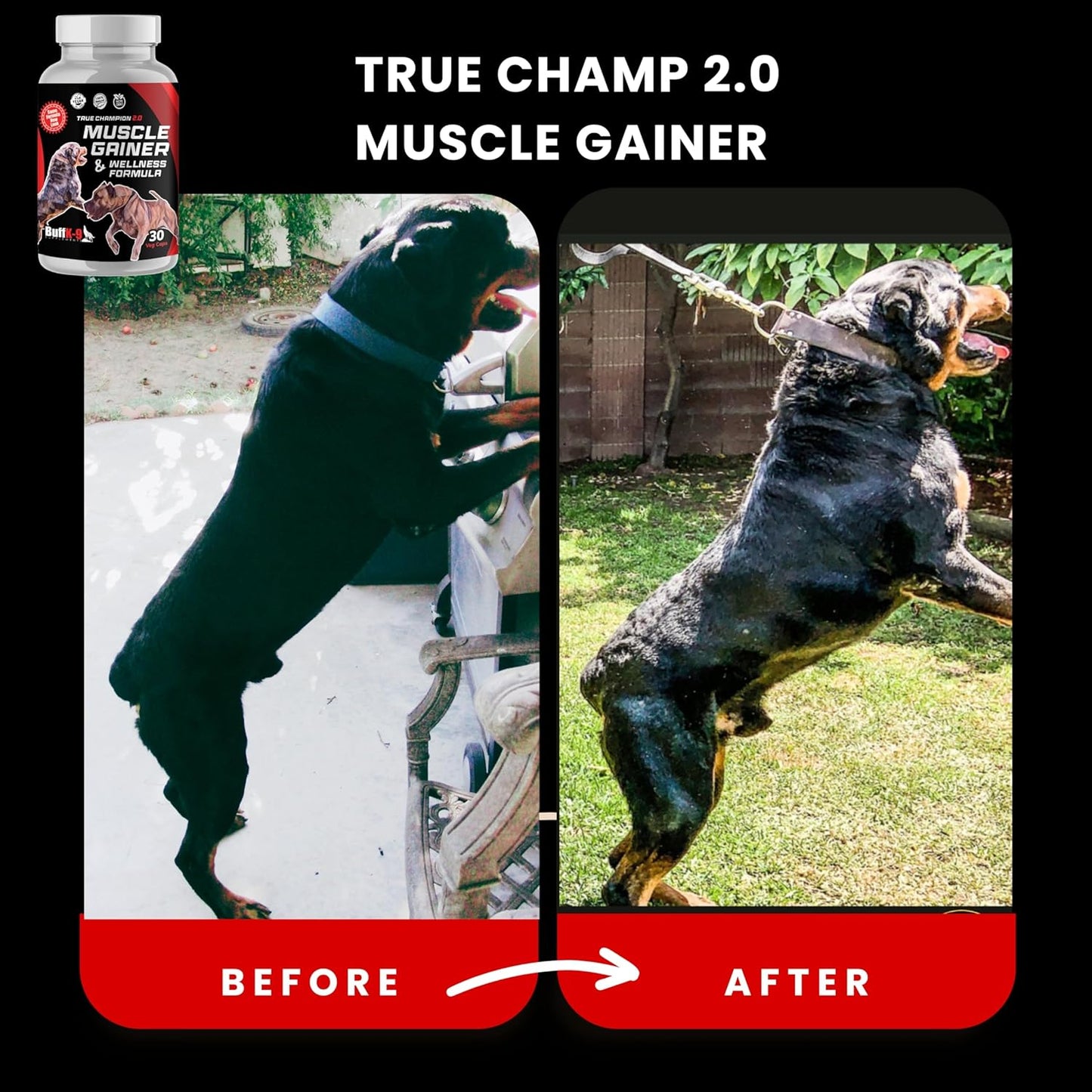 BuffK-9 True Champion Dog 2.0 - Muscle Builder for Dogs of All Ages and Breeds - Promotes Muscle Gain, Growth, and Recovery - Ideal for Aging Dogs and Post-Injury Support