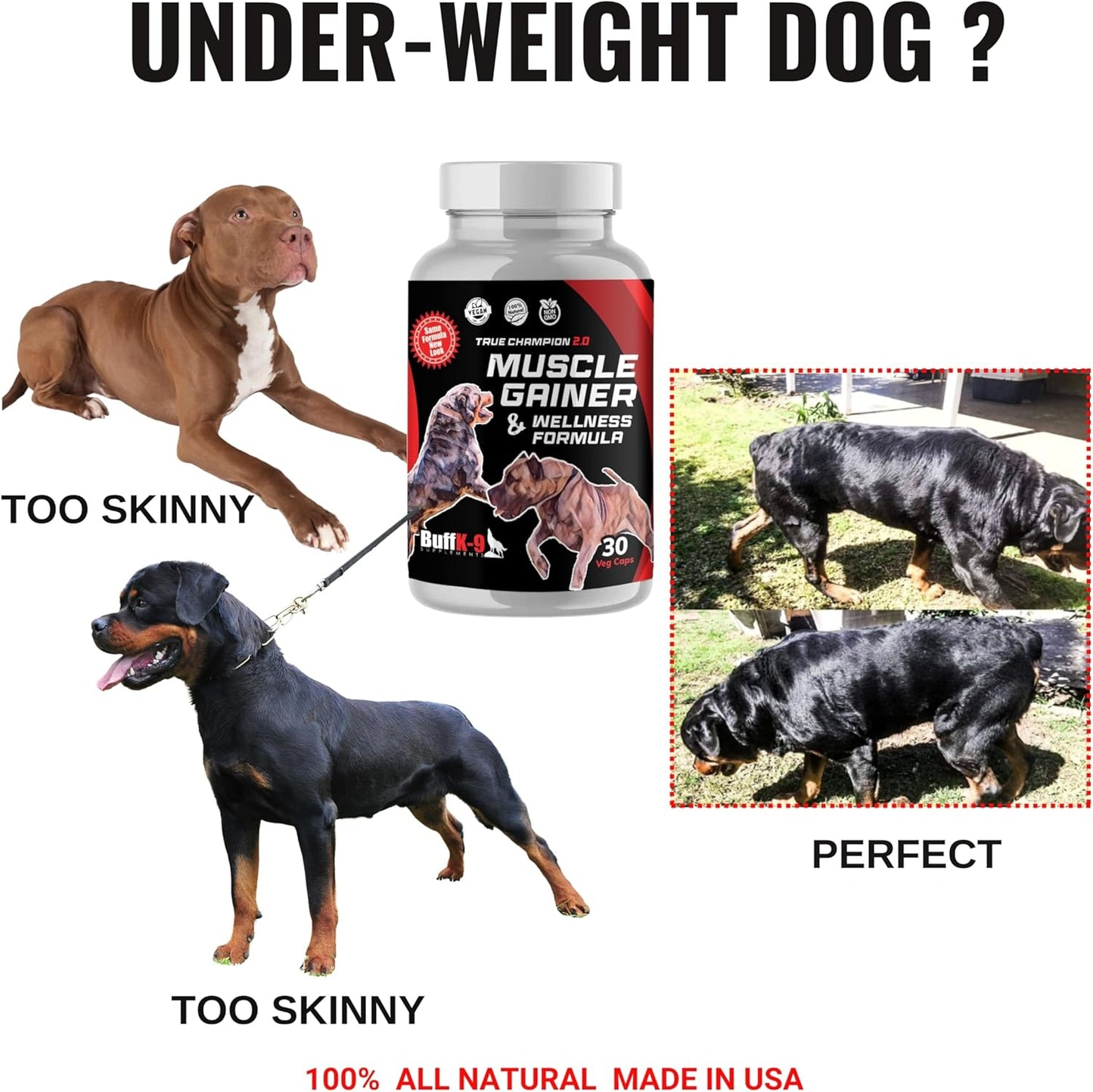 BuffK-9 True Champion Dog 2.0 - Muscle Builder for Dogs of All Ages and Breeds - Promotes Muscle Gain, Growth, and Recovery - Ideal for Aging Dogs and Post-Injury Support