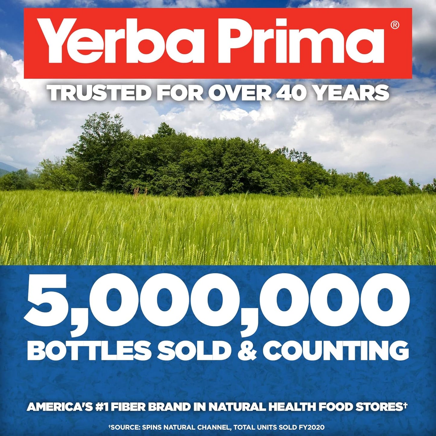 Bulk Yerba Prima Psyllium Husk Fiber Supplement - 36 Ounces, Non GMO, Gluten Free, Vegan, Colon Cleansing, Gut Health Support