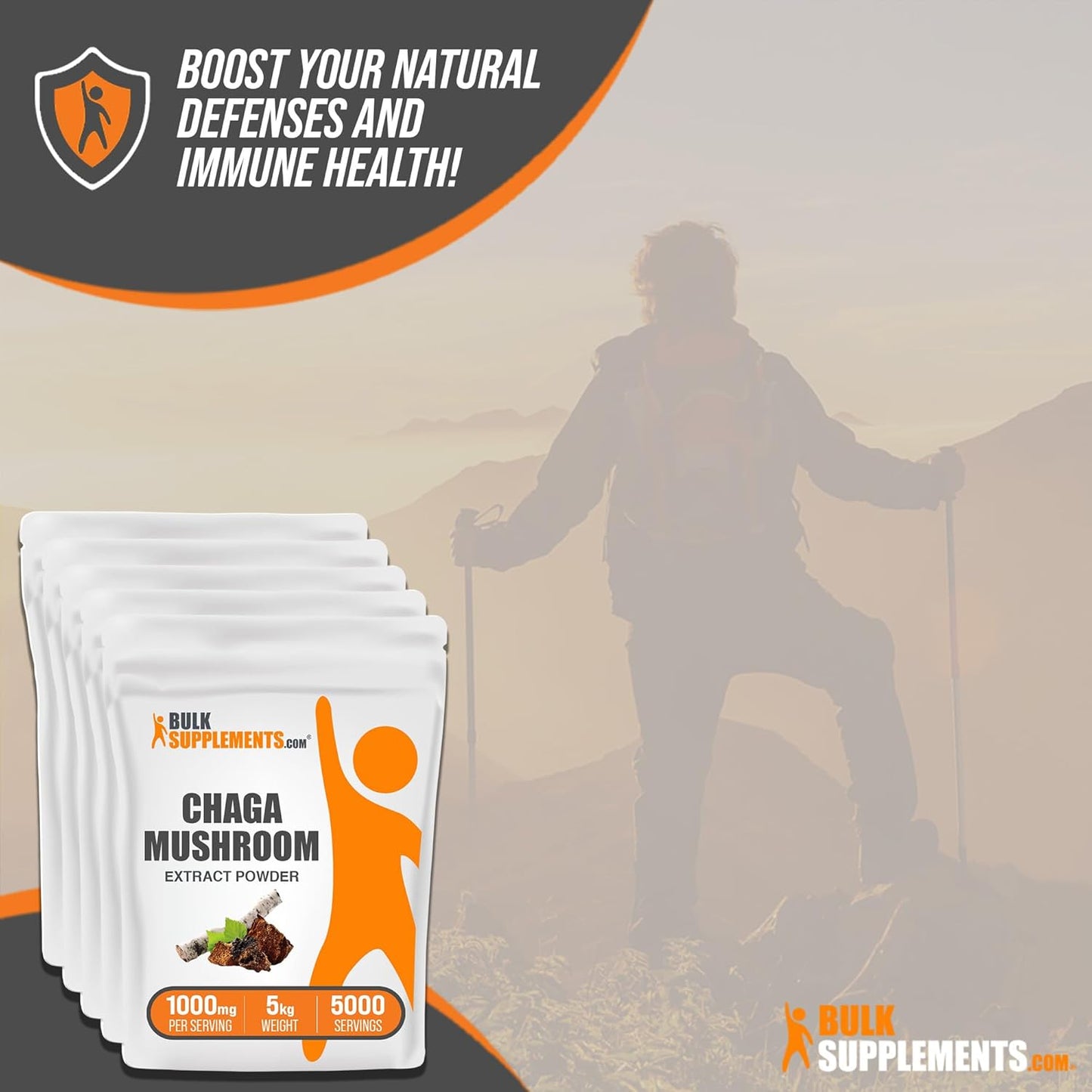 BulkSupplements.com Chaga Mushroom Extract Powder - 1000mg per Serving, Gluten Free Supplement in Bulk (5kg)