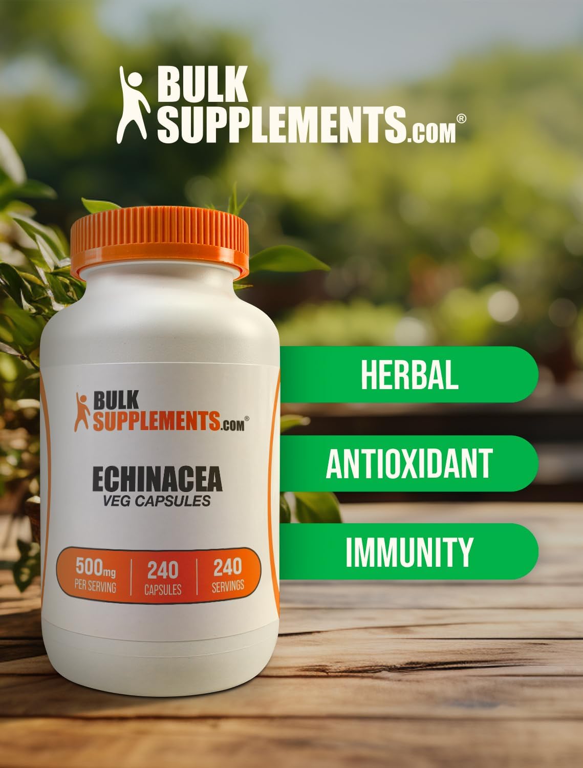 BulkSupplements.com Echinacea Extract Capsules - 500mg Immune Support Supplement, Gluten Free - 240 Capsules, 1 Capsule/Serving