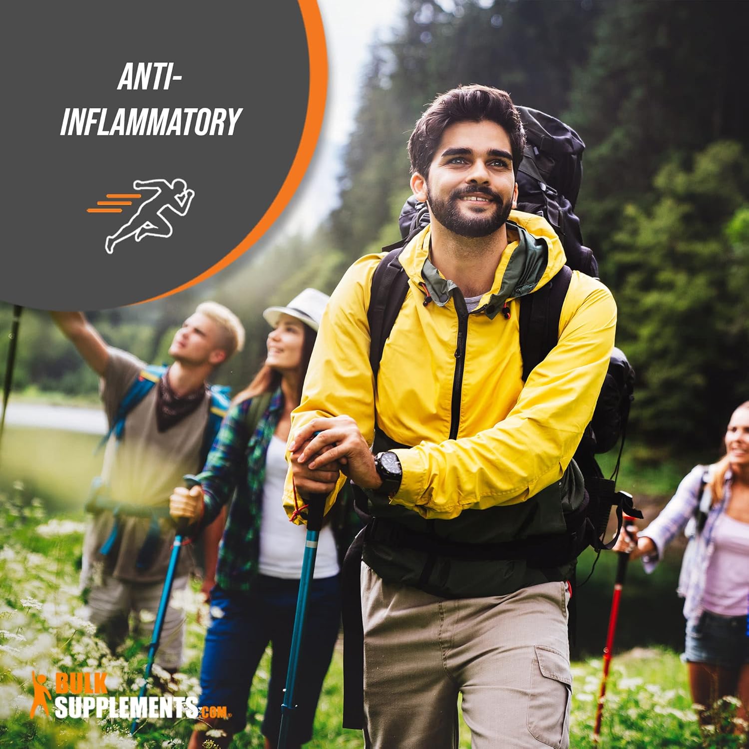 BulkSupplements.com Oregano Extract Powder - Herbal Supplement, Gluten Free, 500mg per Serving - 100g (3.5 oz) Pack