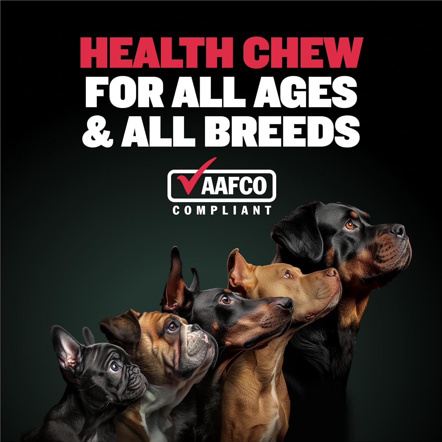 Bully Max 9-in-1 Total Health Dog Chews - Multivitamin Treats for All Breeds - Omega 3 Vitamin Supplements - 75 Soft Chews