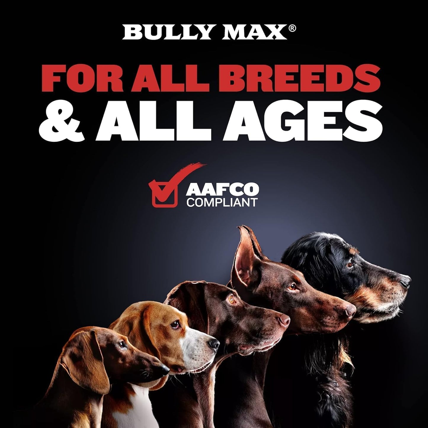 Bully Max Muscle Builder Chewable Tablets for Dogs - Canine Vitamins for Muscle Growth - 2-in-1 Multivitamin for All Breeds - 60 Tabs