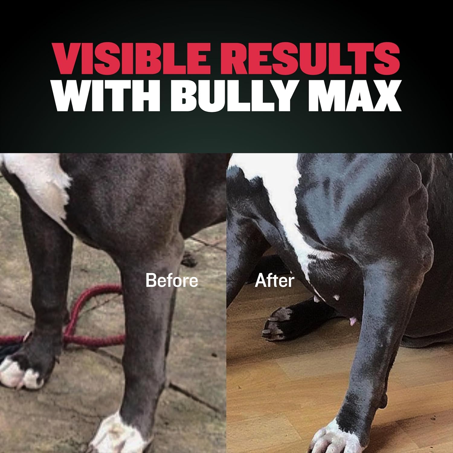 Bully Max Muscle Builder Chewable Tablets for Dogs - Canine Vitamins for Muscle Growth - 2-in-1 Multivitamin for All Breeds - 60 Tabs