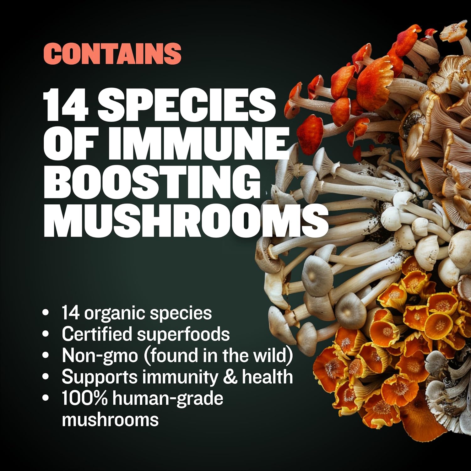 Bully Max Puppy Soft Chews: Immunity & Growth Supplements for All Breeds - Essential Dog Multivitamin for Health & Immune Support