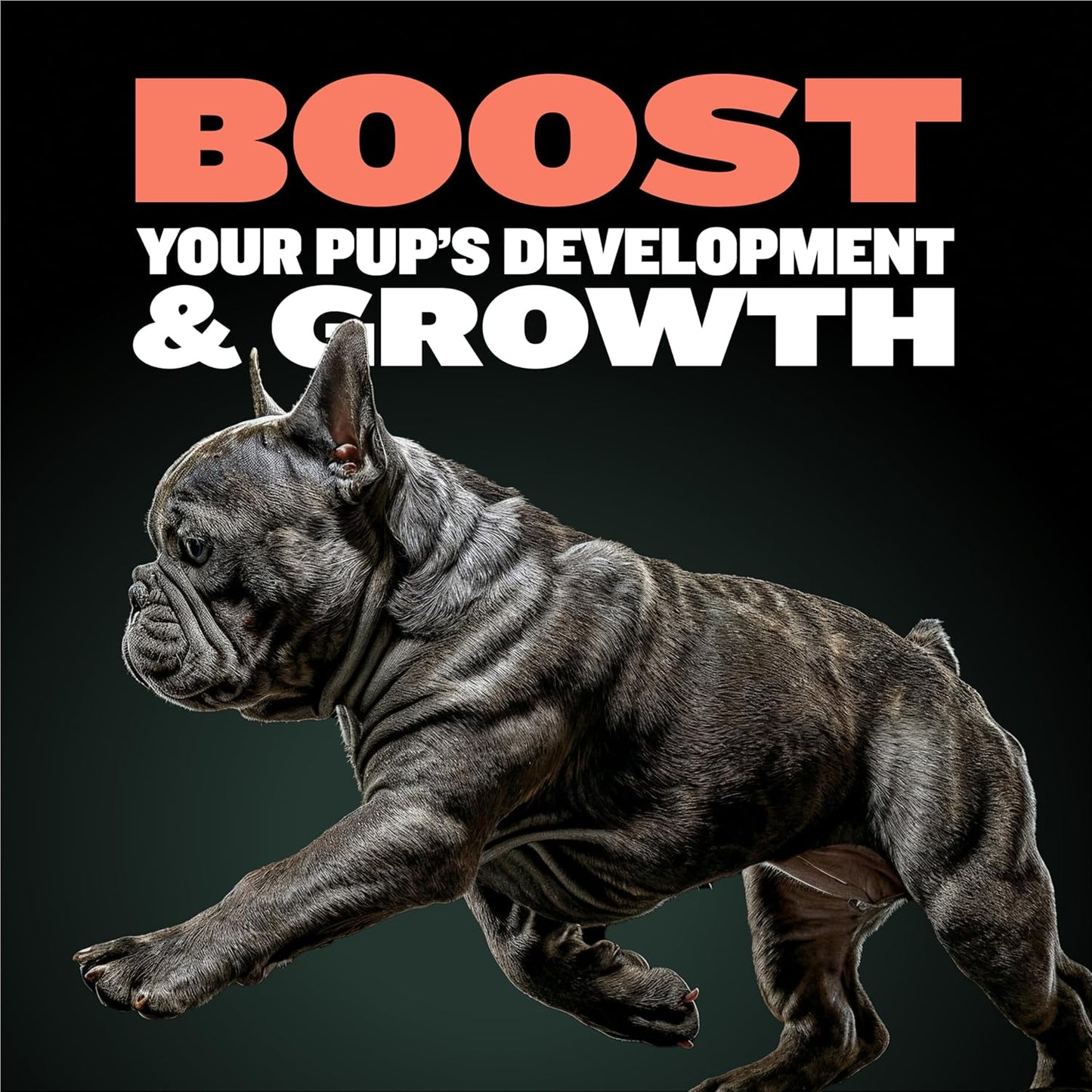 Bully Max Puppy Vitamins - 2-in-1 Chewable Tablets for Puppies - Growth & Development Supplements for Small & Large Breed Dogs - 30 Count