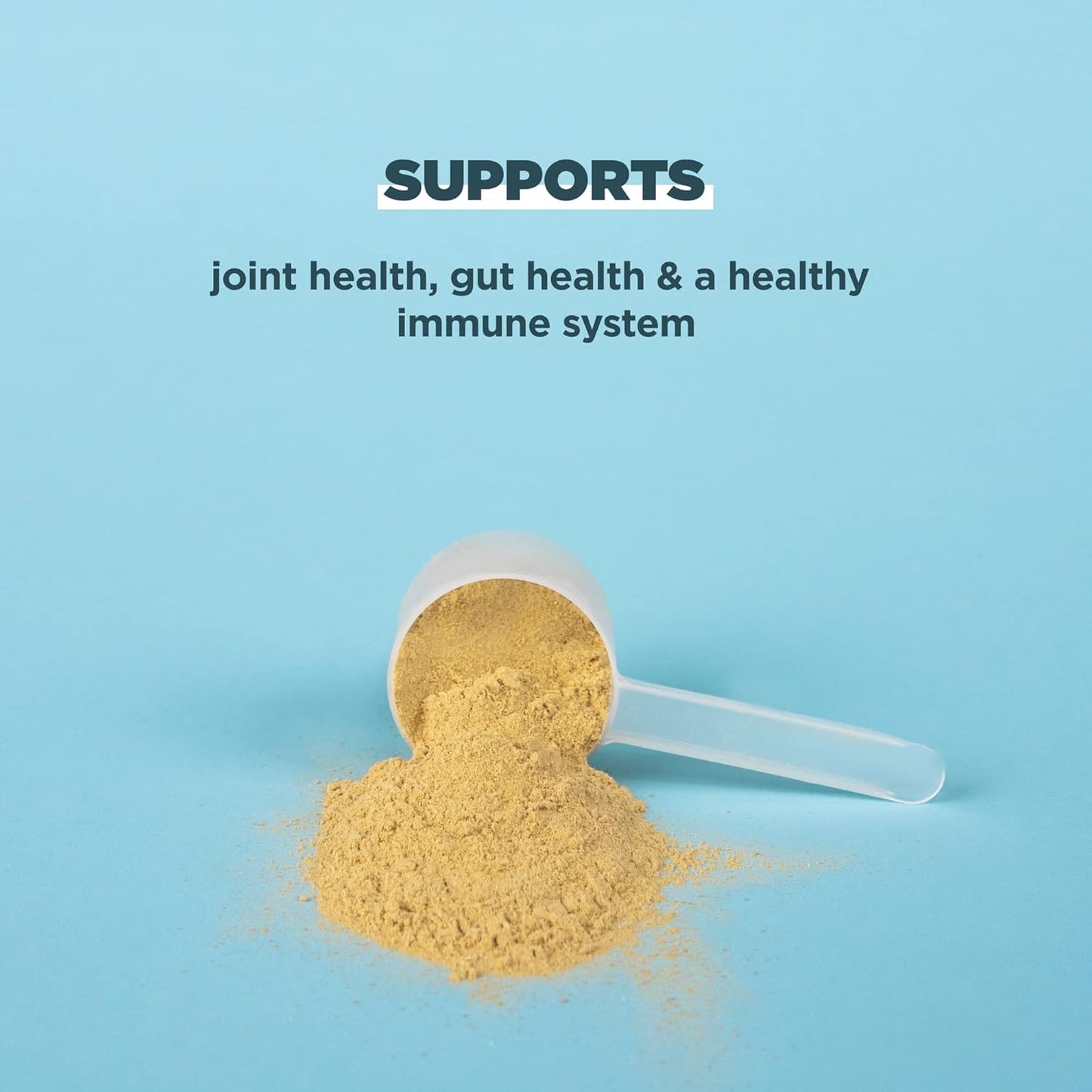 Bundle: Ancient Nutrition Bone Broth Protein Powder - Vanilla & Chocolate, 20 Servings Each