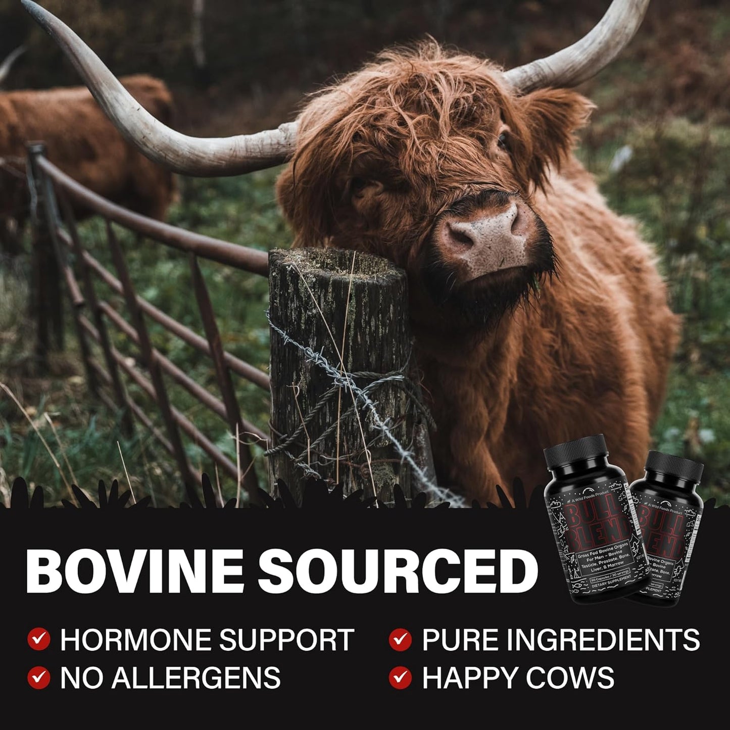 Bundle for Vitality & Energy: DailyNutra KSM 66 Ashwagandha, Bull Blend Complex, and Herbal T Formula (90 Capsules each)