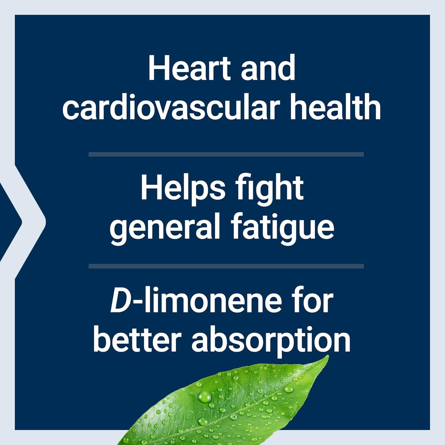 Bundle: Life Extension Super Omega-3 Fish Oil Softgels with Super-Absorbable CoQ10 for Heart Health - 240 + 60 Softgels