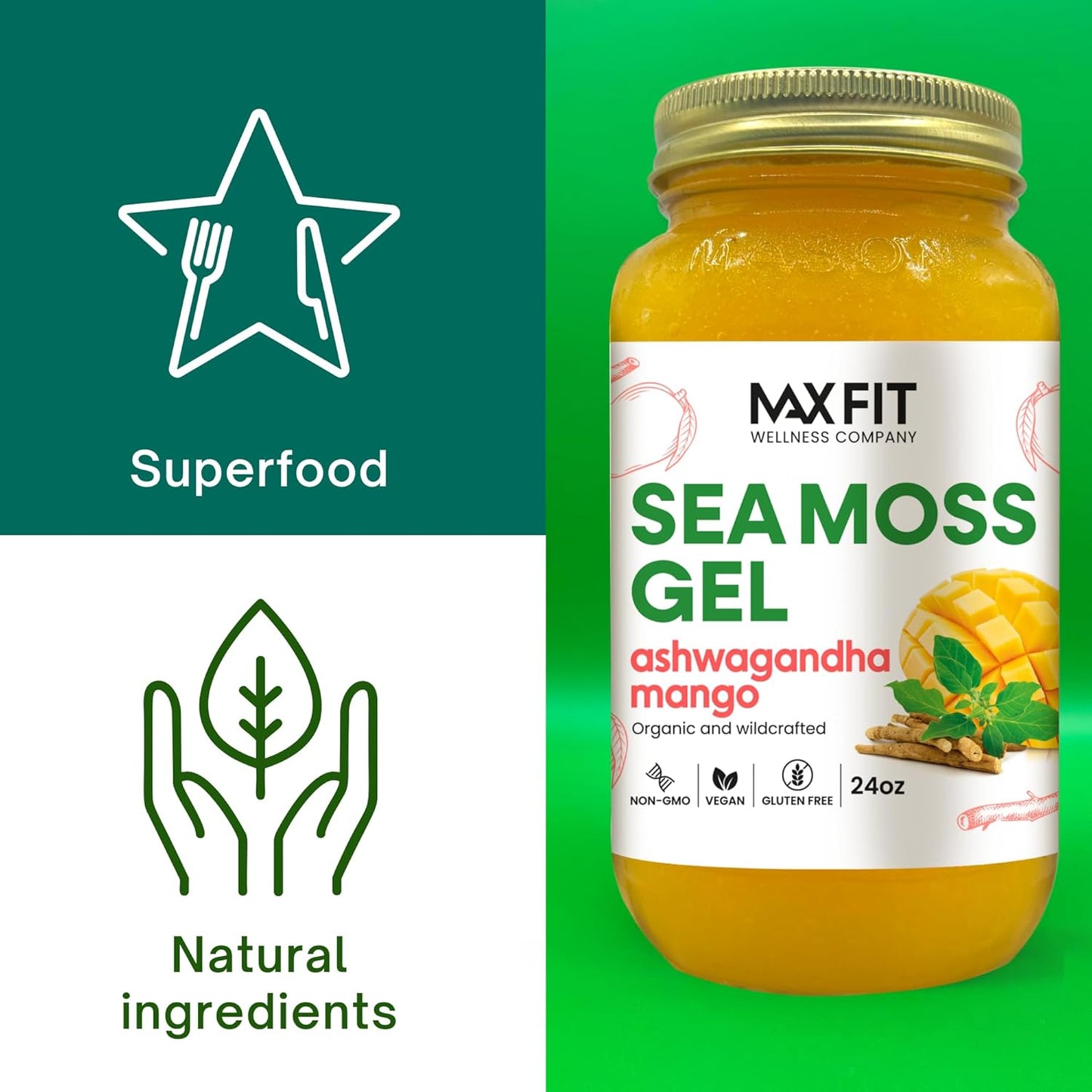 Bundle of 2 Jars 24oz MAX FIT Organic Raw Sea Moss Gel with Ashwagandha Mango, Strawberry Pineapple - 92 Vitamins and Minerals - Vegan Superfood