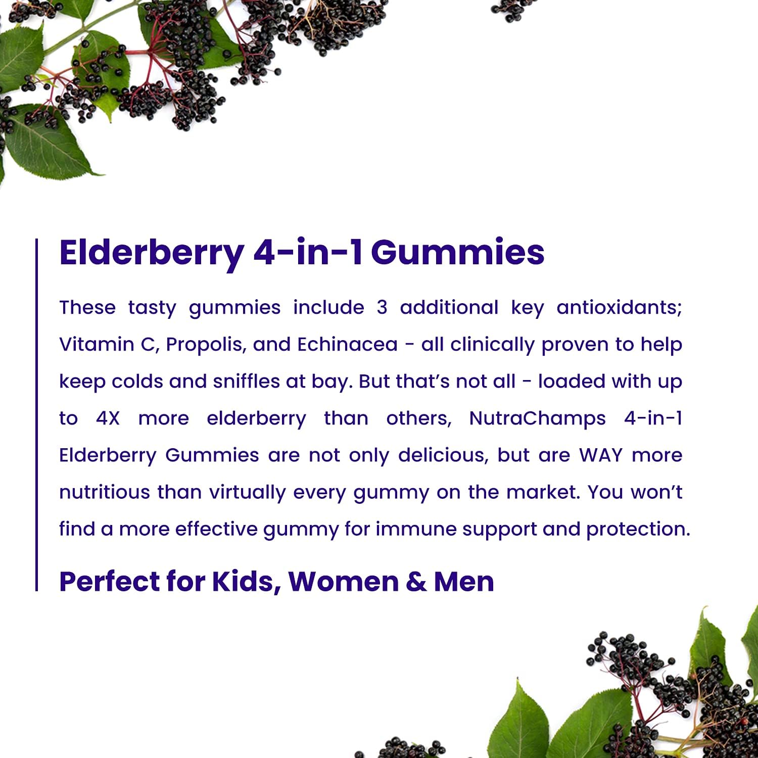 Bundle of NutraChamps Vitamin B12 and Elderberry Gummies for Immune Support and Energy Boost