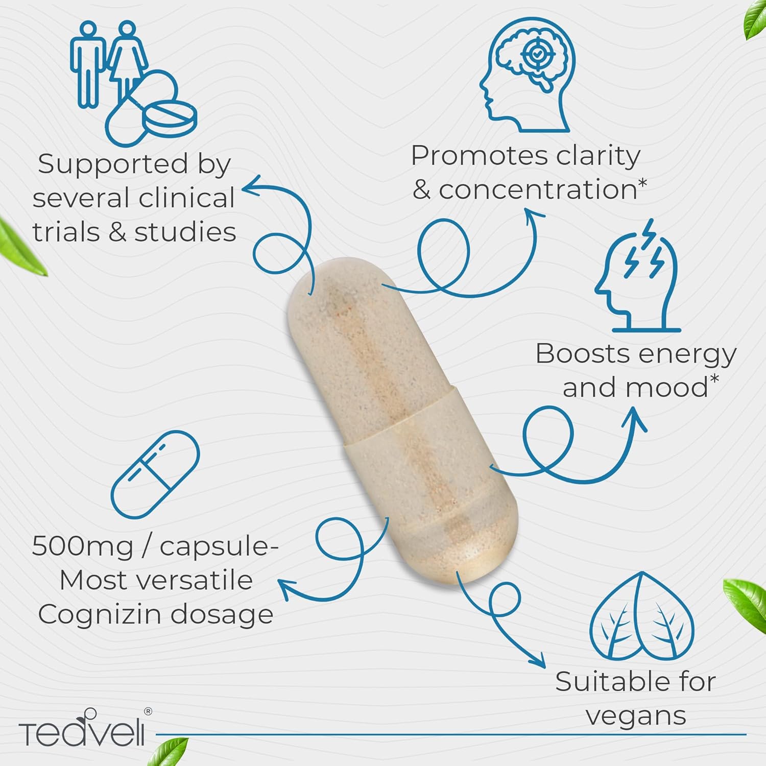 Bundle of Teaveli Spirulina Chlorella Capsules and Citicoline Supplement for Enhanced Brain and Body Health