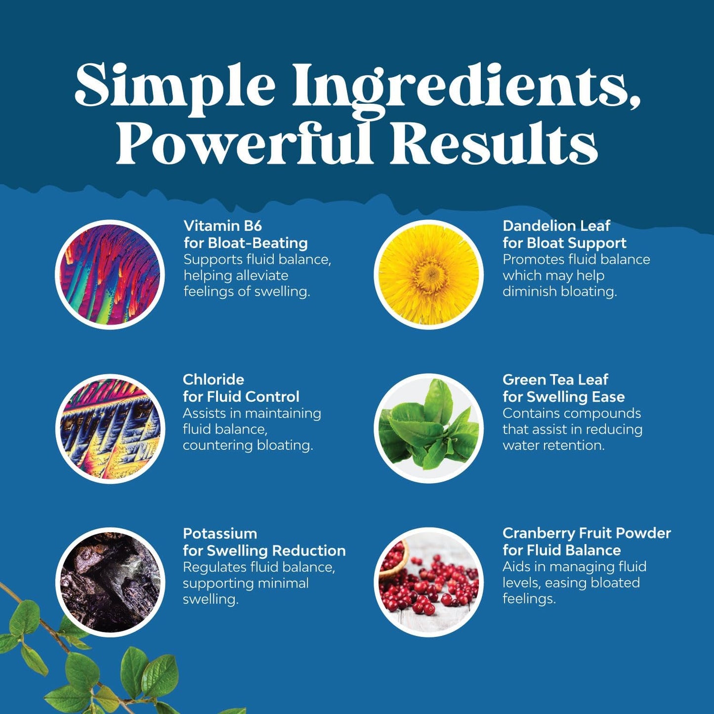 Bundle of Water Away Pills and Garlic Supplement for Fast Bloating Relief and Immune Support - Huntington Labs