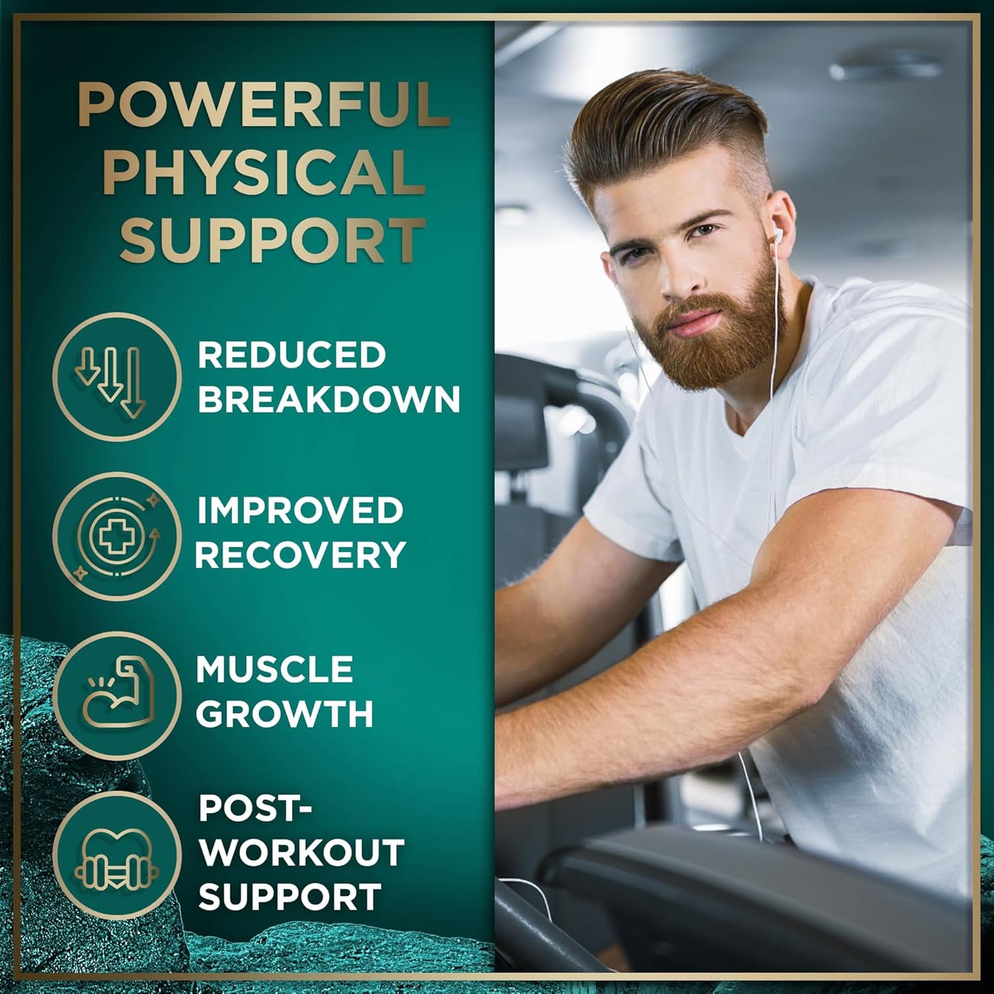 Bundle: WILD FUEL Amino Acid Supplement and Saffron Extract for Energy and Mood Boost