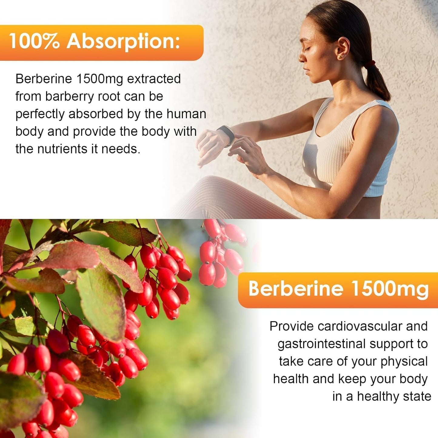 Bunkka Berberine Liquid Drops (2 Pack) with Ceylon Cinnamon & Bitter Melon - Immune & Digestive Support Supplement - 4 FL Oz