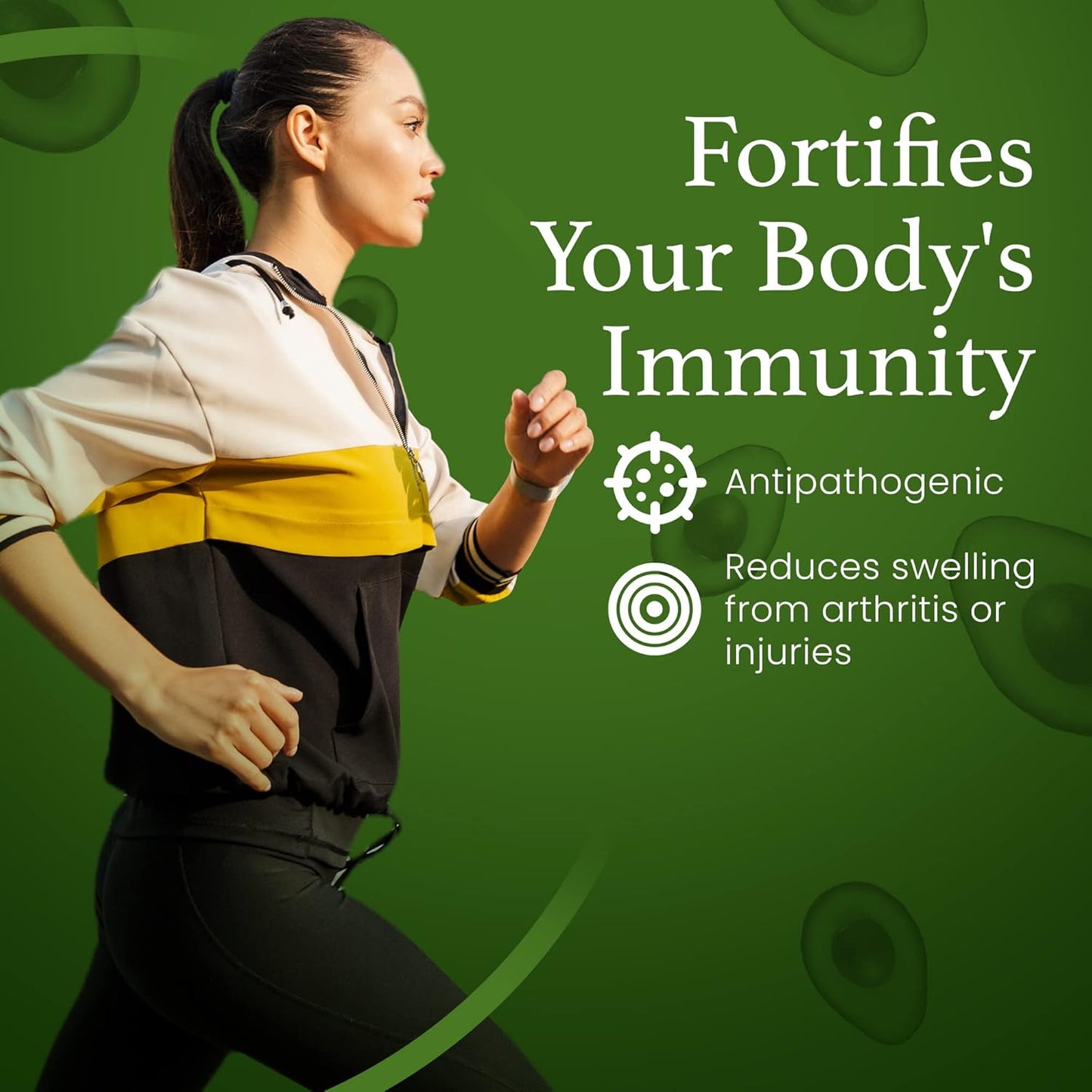 C60 Evo Mini Sampler Set: Pure C60 ESS60 with Olive, Avocado, and MCT Coconut Oils - Immune & Joint Support - 3x2oz