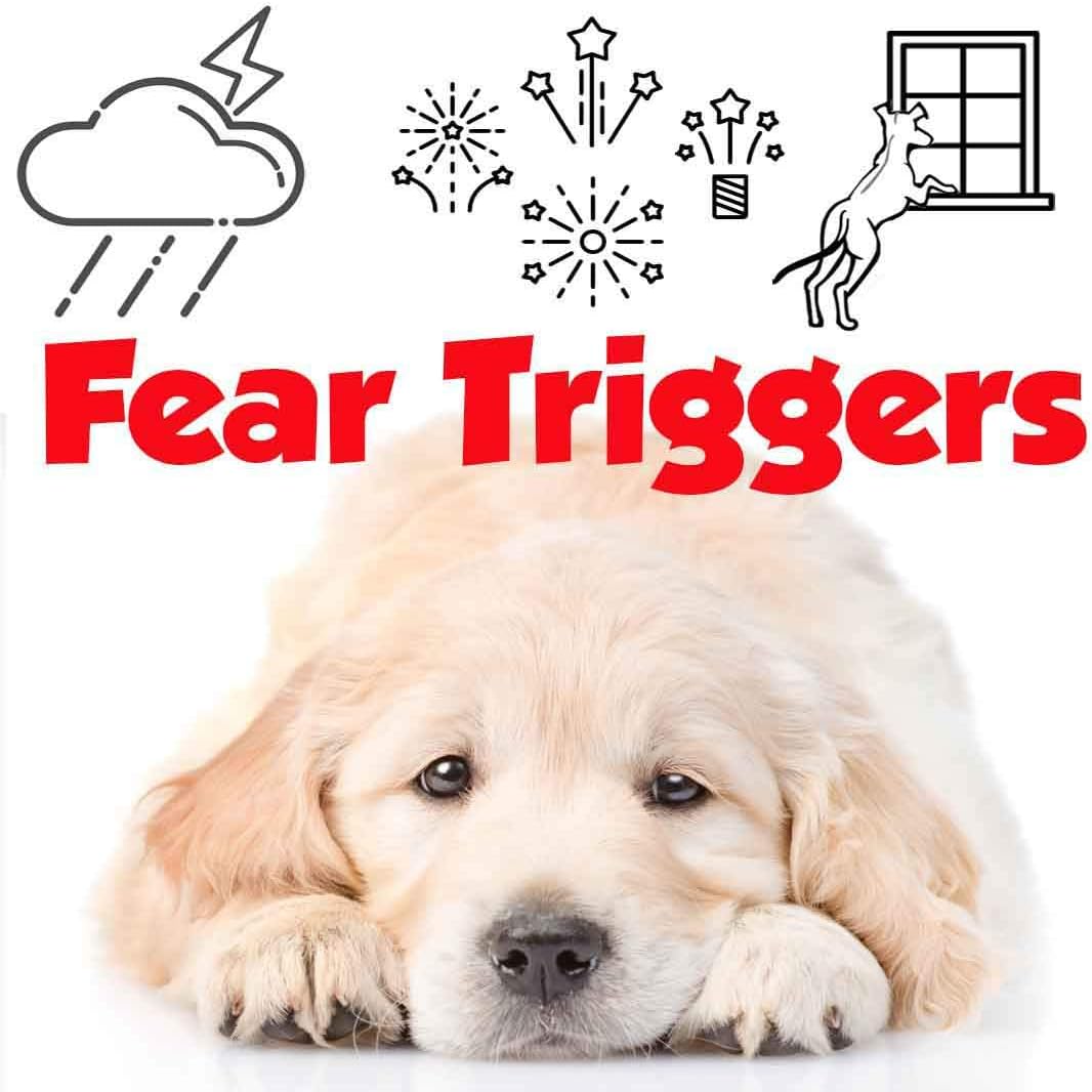 Calming Aromatherapy Spray for Golden Retrievers to Ease Anxiety and Relaxation