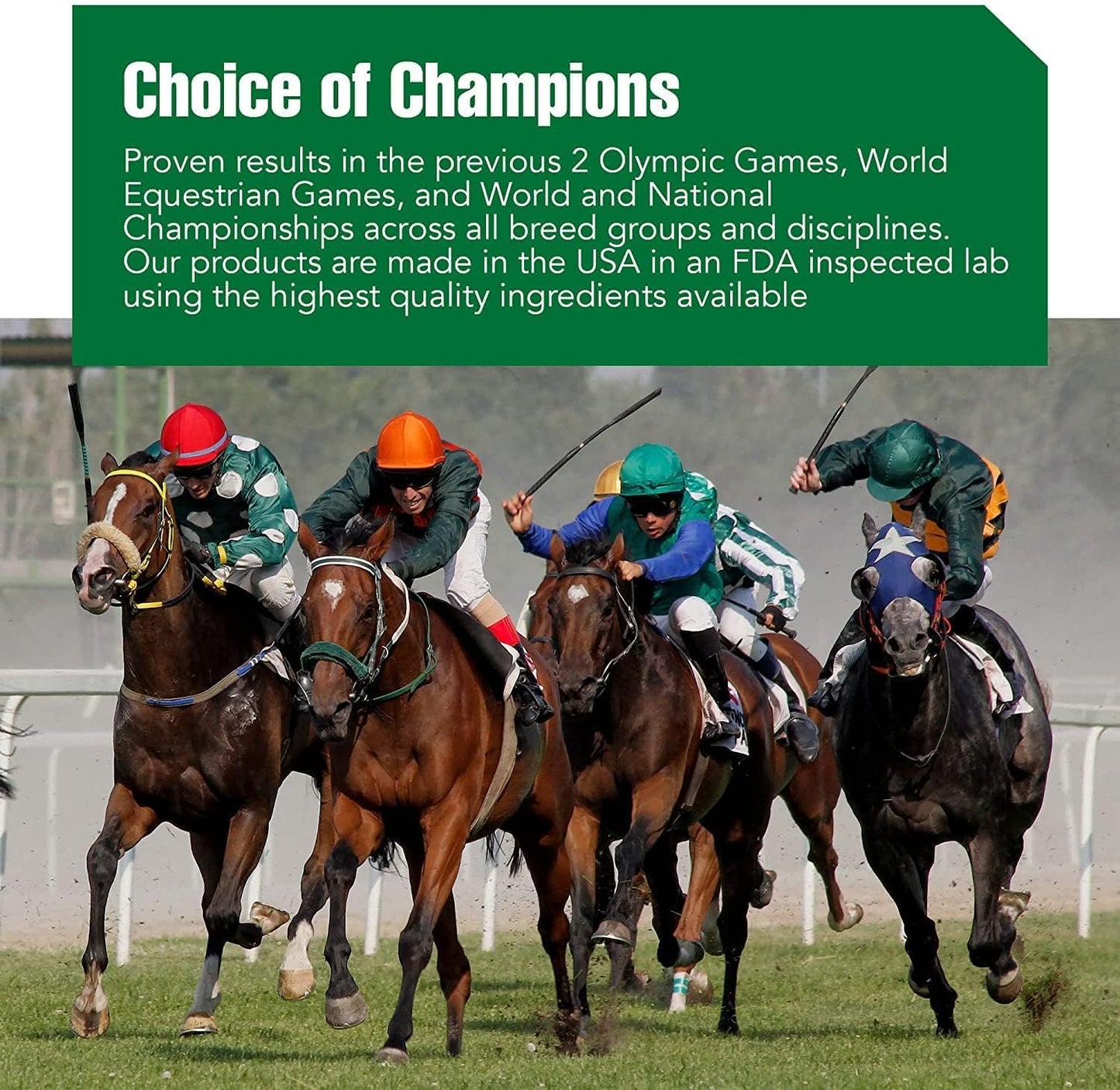 Calming Magnesium Supplement for Horses - Improve Mental Alertness & Performance, Show Safe Formula for Training - Pail