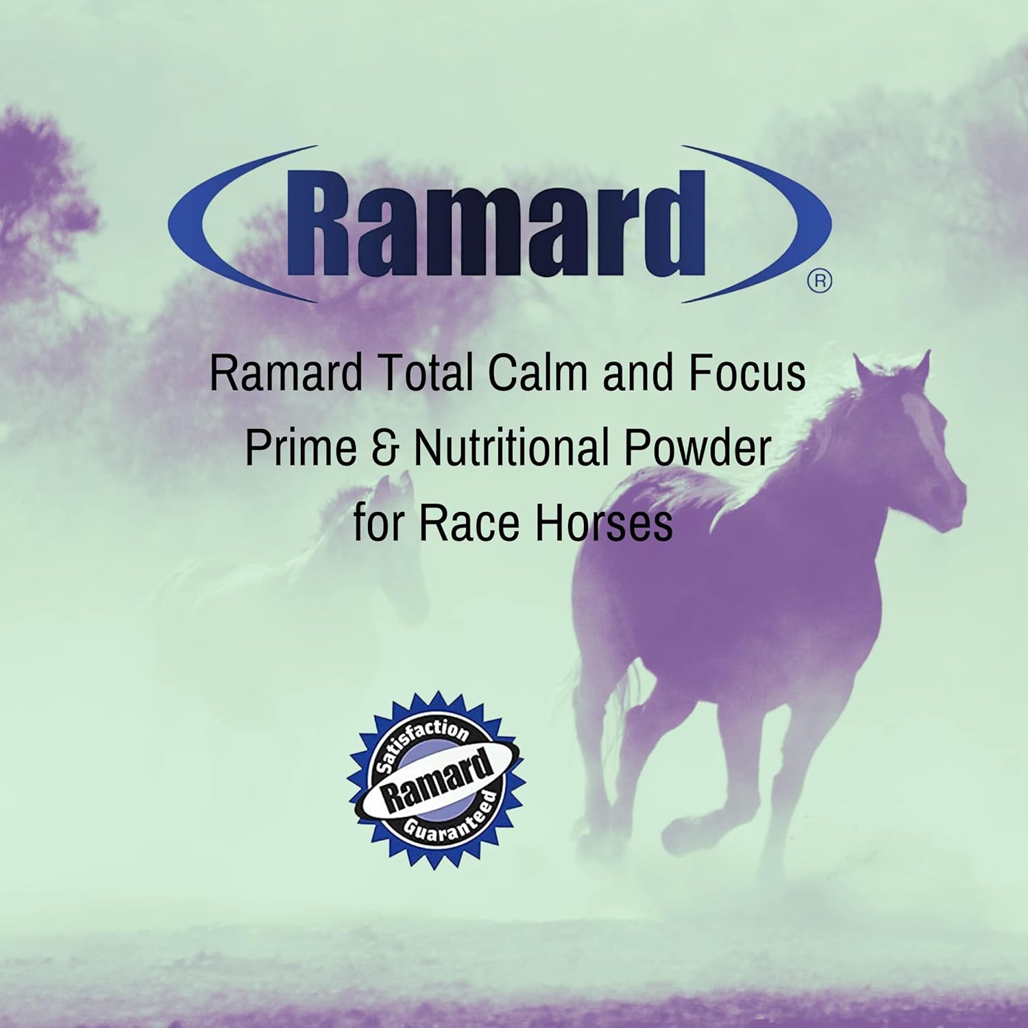 Calming Magnesium Supplement for Horses - Improve Mental Alertness & Performance, Show Safe Formula for Training - Pail
