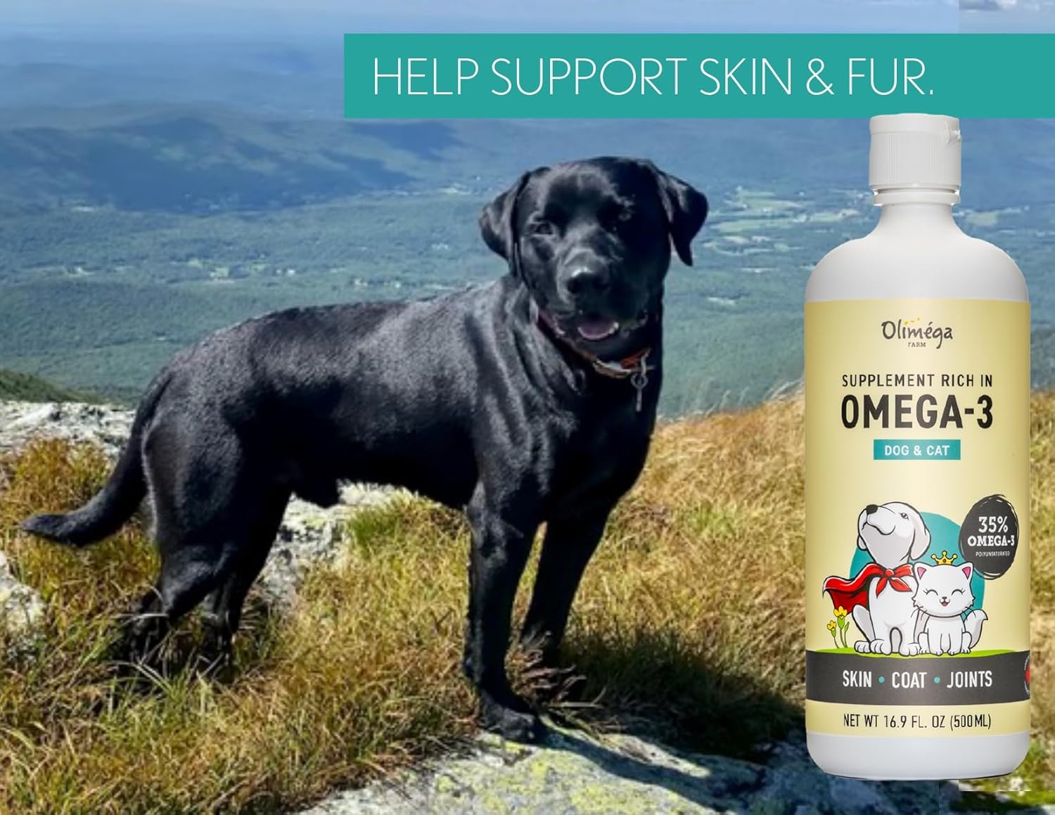 Camelina Oil for Dogs & Cats, 500mL - High in Omega-3 & Vitamin E - Supports Healthy Joints, Coat & Skin - Canadian-Made - Non-GMO - by Olimega Farm