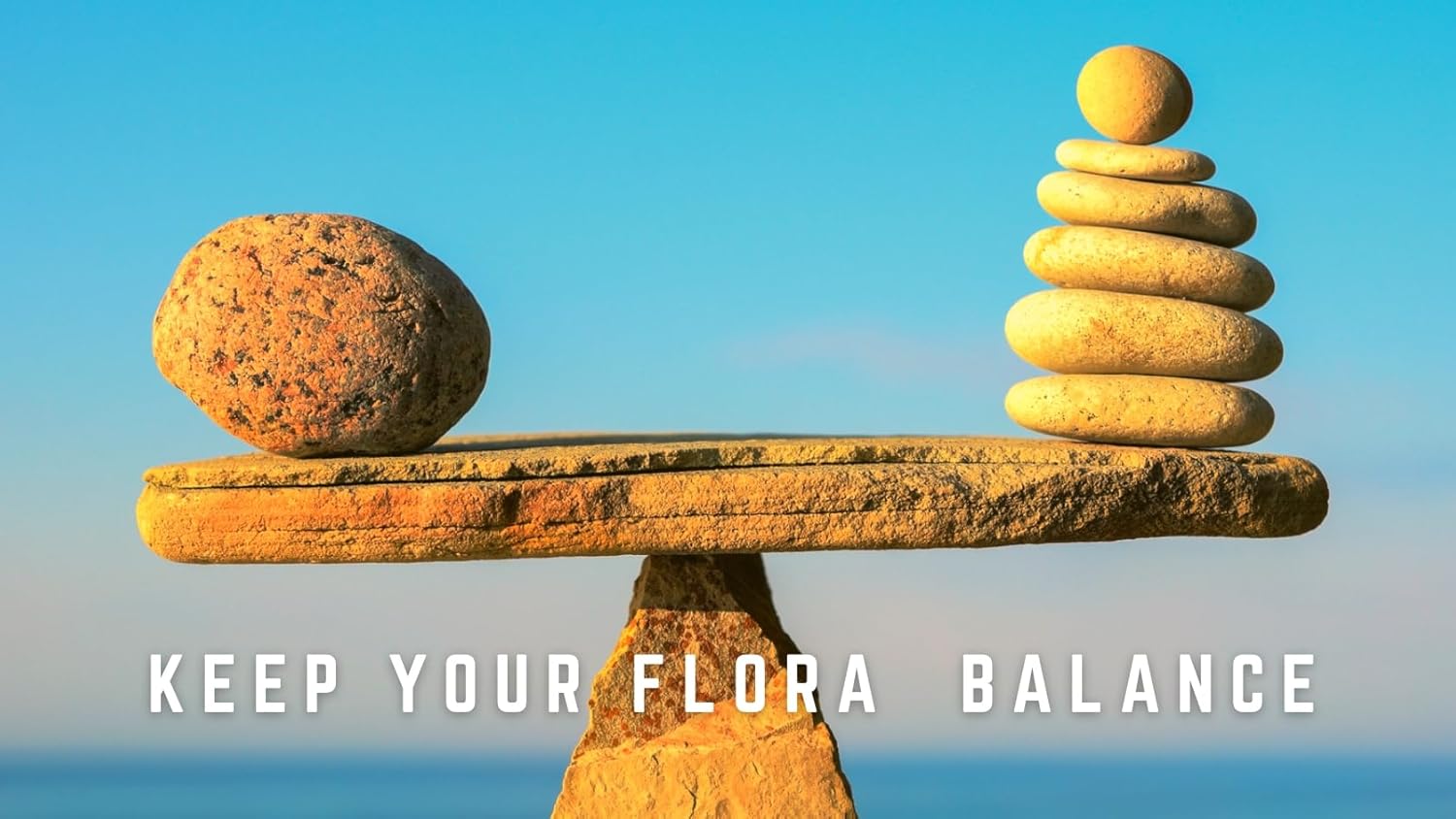 Candida Support Supplement - Enzyme Blend with Oregano Oil, Black Walnut, Caprylic Acid - Natural Detox Formula - 60 Capsules