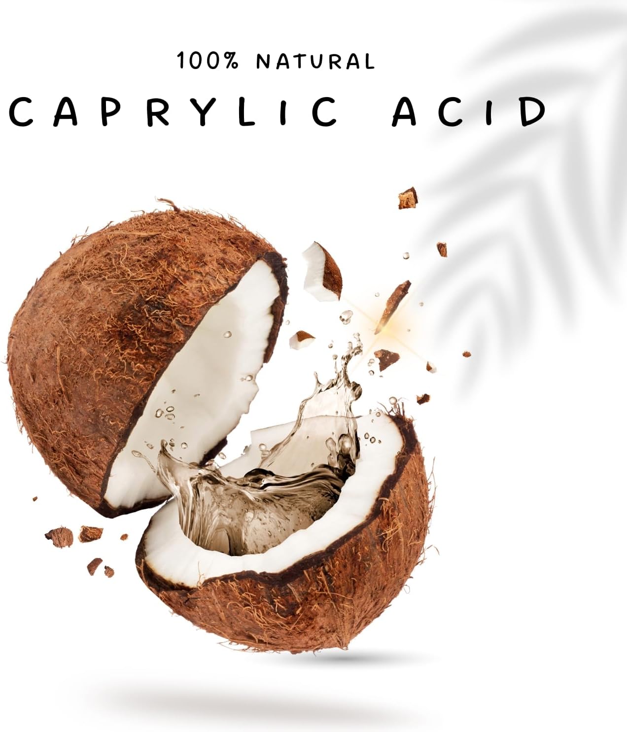 Candida Support Supplement with Pure Caprylic Acid for Digestion & Gut Health - 60 Capsules