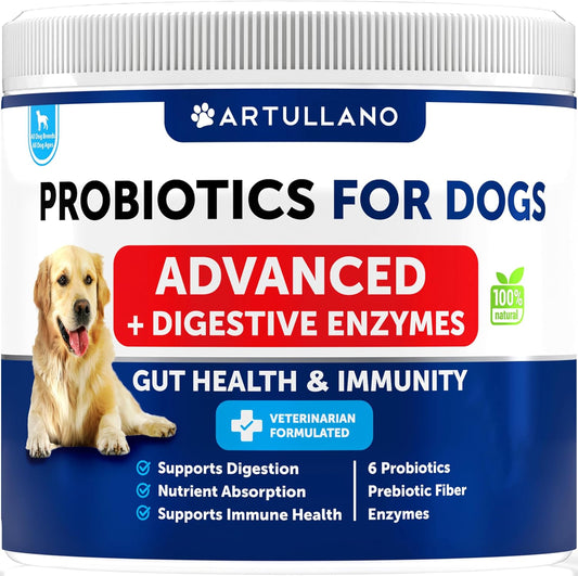 Canine Immune Health Chewables with Probiotics, Prebiotic Fiber, and Enzymes for Dogs