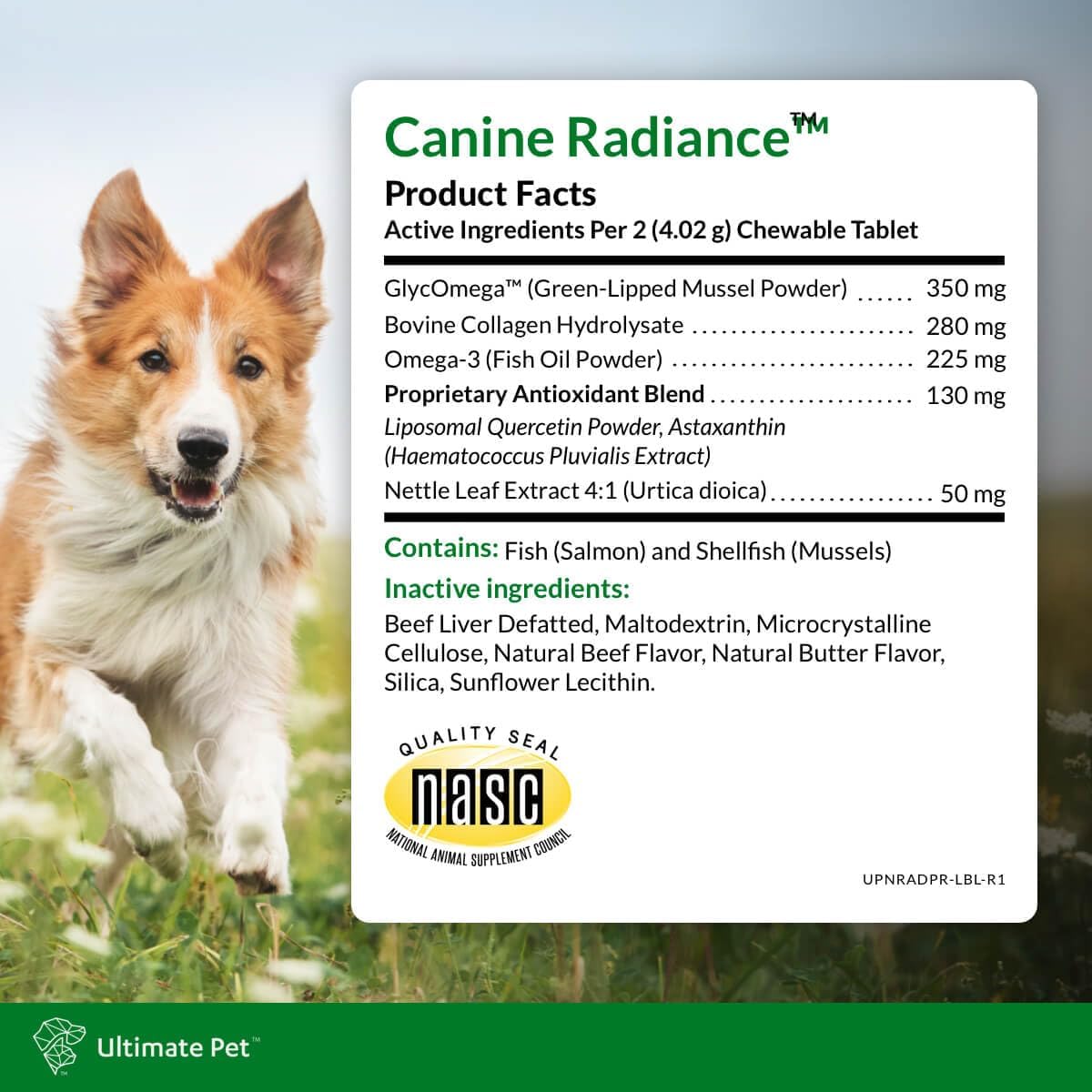 Canine Radiance Skin Allergy Support Supplement for Dogs - Omega-3 Skin Hydration & Antioxidants - 60 Chewable Tablets